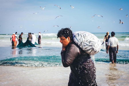 Kliknij, aby powiększyć zdjęcie.